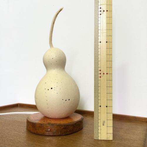 Kusagoke lamp