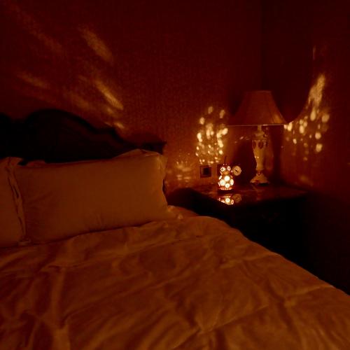 Tamagoke Lamp Ⅱ
